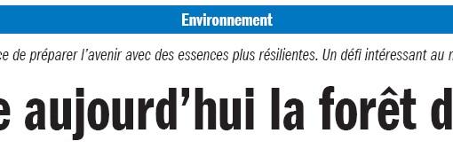 Plantation d'automne 2022