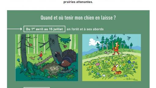 Petit rappelle aux propriétaires de chiens